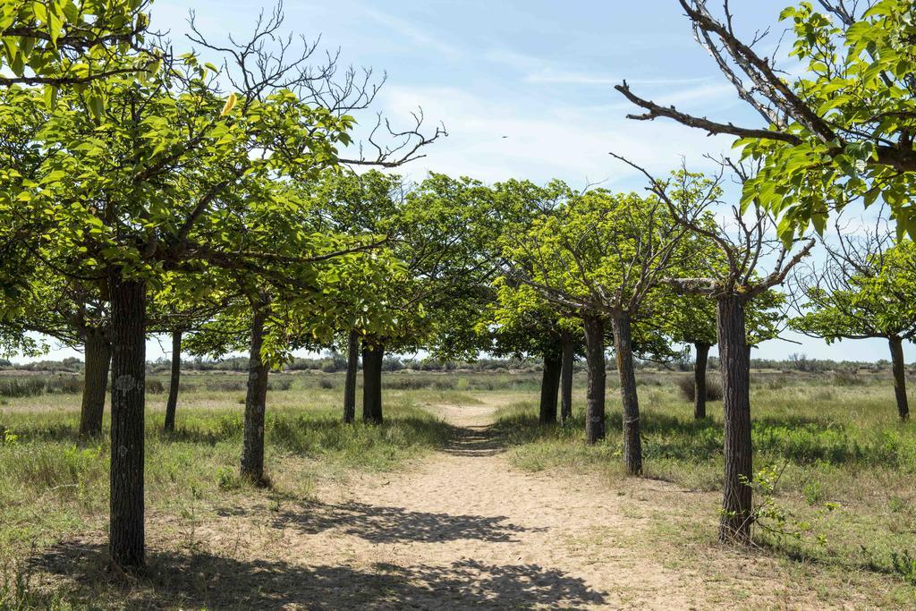 Domaine Les Muriers Vendres Exterior photo